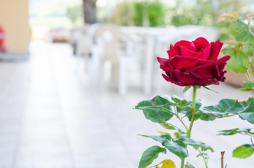 Il Pozzetto Hotel Ravigliano Kültér fotó